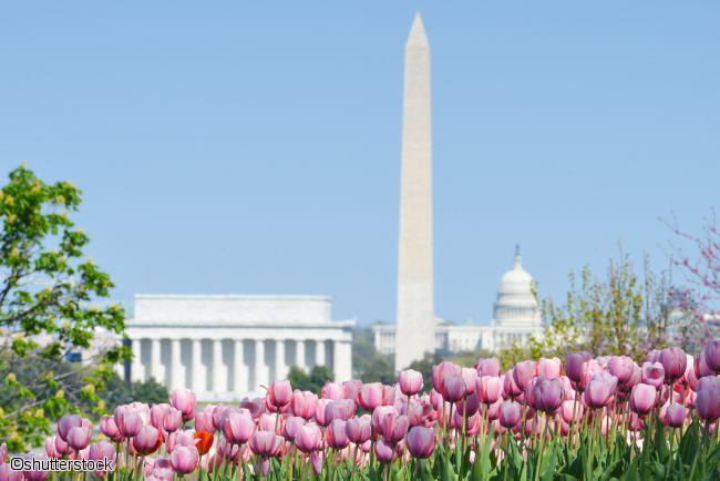 Monuments emblématiques de Washington DC